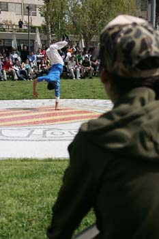Poliniza_capoeira_501