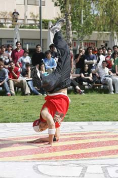 Poliniza_capoeira_502