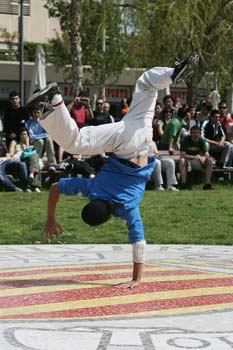Poliniza_capoeira_503