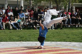 Poliniza_capoeira_504