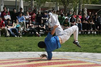 Poliniza_capoeira_505