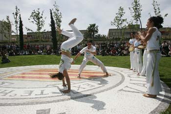Poliniza_capoeira_511