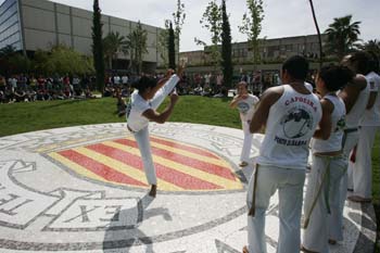 Poliniza_capoeira_512