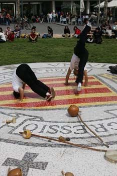 Poliniza_capoeira_531