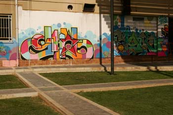 Poliniza_pintfin_703