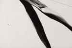 2010-05-08_JG_0046